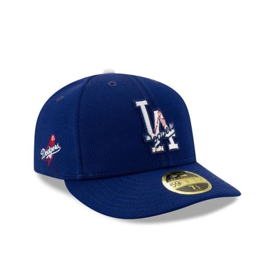 Los Angeles Dodgers Gorra | New Era MLB 2021 Spring Training Low Profile 59fifty Fitted Cap Mexico - Azules